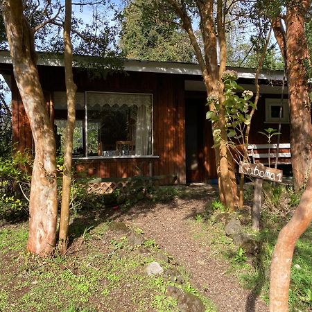 Cabanas El Bosque Patagonico Frutillar Eksteriør billede
