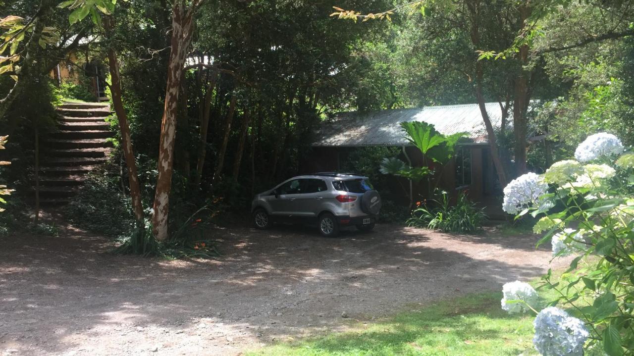Cabanas El Bosque Patagonico Frutillar Eksteriør billede